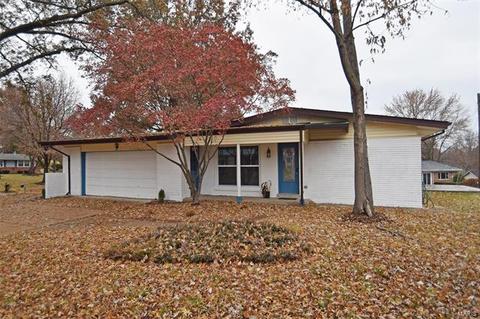 839 Woodruff Dr, Ballwin, MO 63011 photo 13