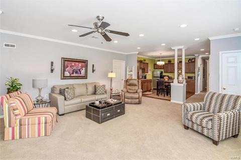 2 Hillington Ct, Eureka, MO 63025 photo 46