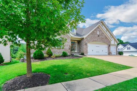 2 Hillington Ct, Eureka, MO 63025 photo 65