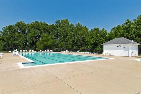 1207 Bellow Falls Dr, O'fallon, MO 63368 photo 39