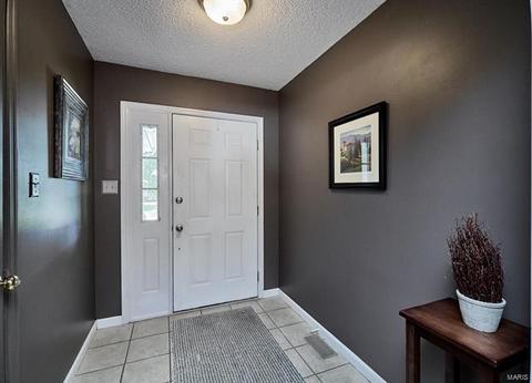1207 Bellow Falls Dr, O'fallon, MO 63368 photo 5