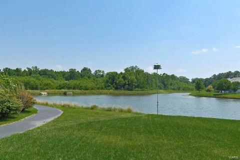 1207 Bellow Falls Dr, O'fallon, MO 63368 photo 38