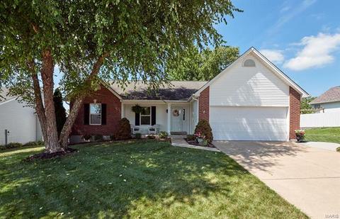 1207 Bellow Falls Dr, O'fallon, MO 63368 photo 1