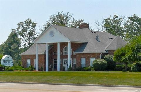 1207 Bellow Falls Dr, O'fallon, MO 63368 photo 37