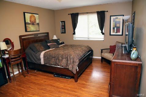1648 Country Hl, Manchester, MO 63021 photo 7