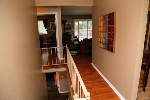 1648 Country Hl, Manchester, MO 63021 photo 15