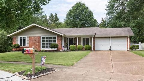 821 King George Ct, Manchester, MO 63021 photo 2