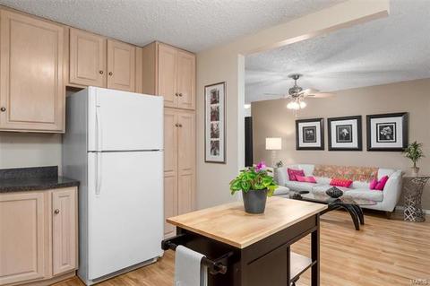821 King George Ct, Manchester, MO 63021 photo 26