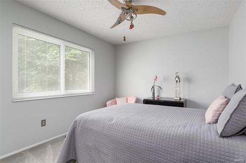 821 King George Ct, Manchester, MO 63021 photo 18