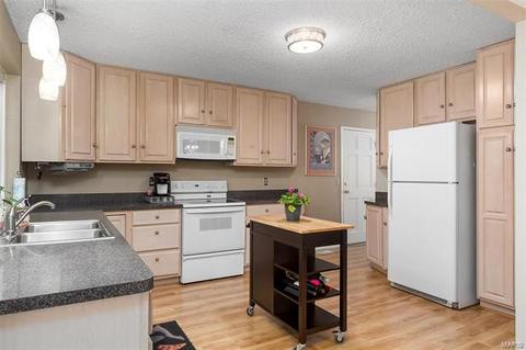 821 King George Ct, Manchester, MO 63021 photo 24