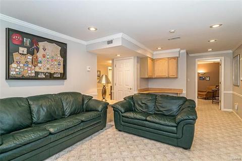 827 Mallard Woods Dr, Manchester, MO 63021 photo 37