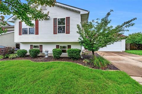 722 Diamond Pointe Ct, O'fallon, MO 63366 photo 2