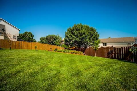 513 Pinehurst Woods Ct, O'fallon, MO 63366 photo 42