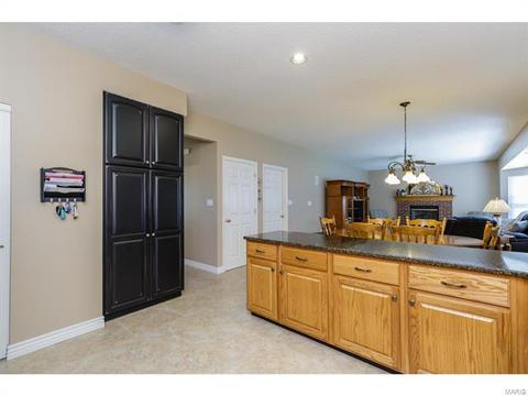 253 E Governor Pl, Saint Charles, MO 63301 photo 28