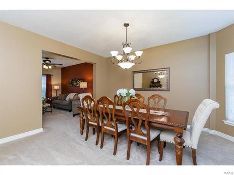 253 E Governor Pl, Saint Charles, MO 63301 photo 21