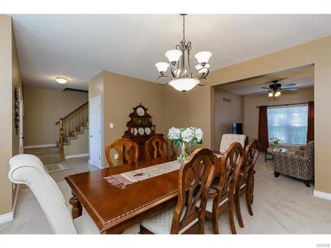 253 E Governor Pl, Saint Charles, MO 63301 photo 23