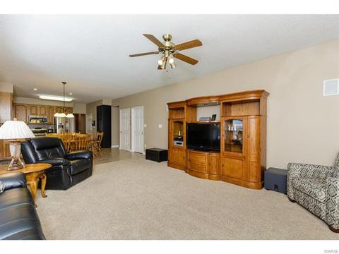 253 E Governor Pl, Saint Charles, MO 63301 photo 27