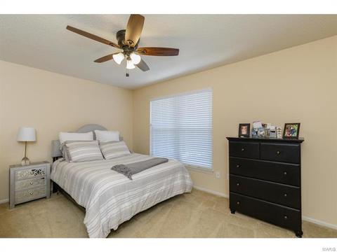 253 E Governor Pl, Saint Charles, MO 63301 photo 32