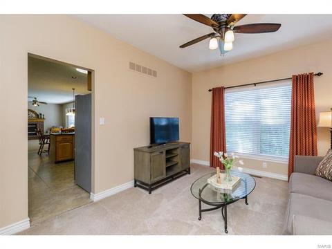 253 E Governor Pl, Saint Charles, MO 63301 photo 8