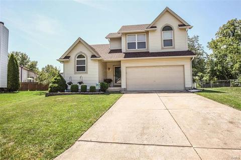 5087 Danielle Dr, Saint Charles, MO 63304 photo 1