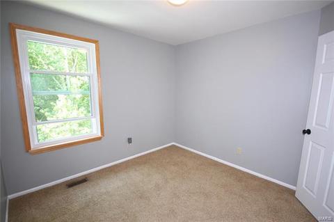7201 Picasso Dr, O'fallon, MO 63368 photo 29