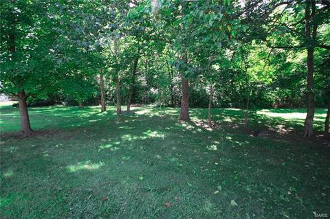 7201 Picasso Dr, O'fallon, MO 63368 photo 49