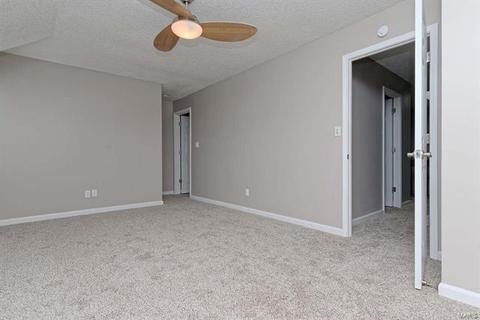 1009 Pocono, Ballwin, MO 63021 photo 19