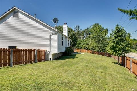 17 Wistar Way, O'fallon, MO 63366 photo 22