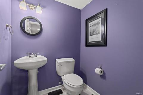 17 Wistar Way, O'fallon, MO 63366 photo 21