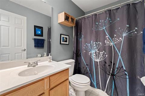 17 Wistar Way, O'fallon, MO 63366 photo 17