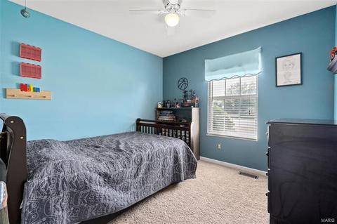 17 Wistar Way, O'fallon, MO 63366 photo 16