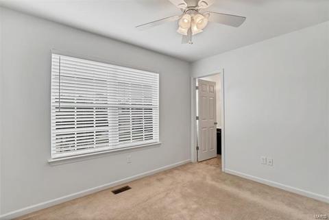19 Bluff Brook Ct, O'fallon, MO 63366 photo 28