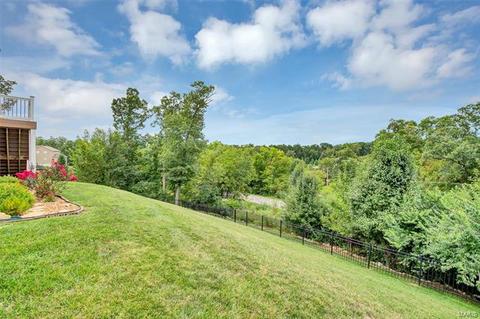 19 Bluff Brook Ct, O'fallon, MO 63366 photo 41