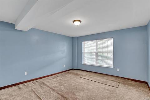 19 Bluff Brook Ct, O'fallon, MO 63366 photo 30