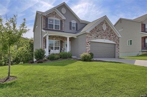 607 Falling Brook Dr, O'fallon, MO 63366 photo 29