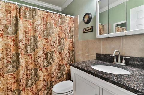 1686 Carman Mill Dr, Manchester, MO 63021 photo 21