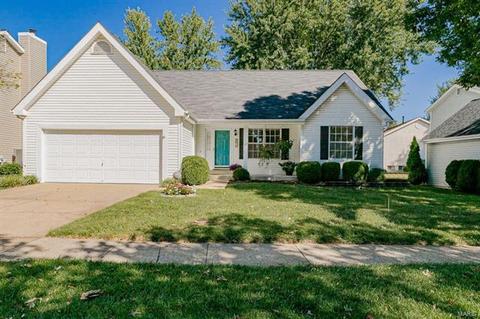 807 Barbara Ann Ln, Ellisville, MO 63021 photo 1
