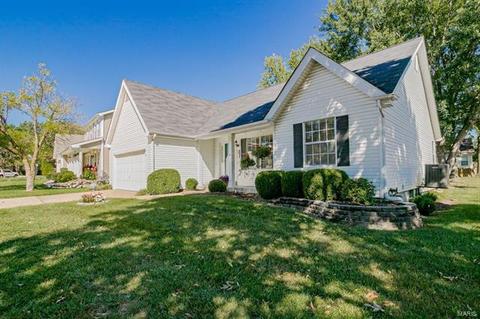 807 Barbara Ann Ln, Ellisville, MO 63021 photo 23
