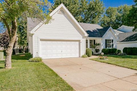 807 Barbara Ann Ln, Ellisville, MO 63021 photo 22