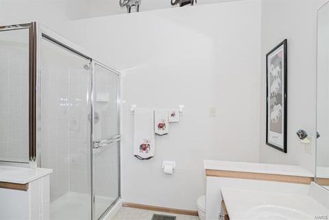 807 Barbara Ann Ln, Ellisville, MO 63021 photo 17