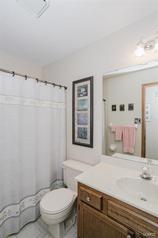 807 Barbara Ann Ln, Ellisville, MO 63021 photo 19
