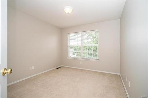 1204 Arbor Trails Ct, Ballwin, MO 63021 photo 46