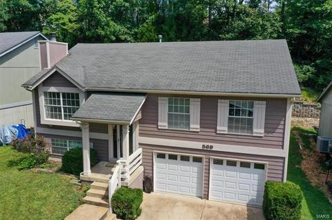 569 Woodlyn Crossing Cir, Ballwin, MO 63021 photo 3