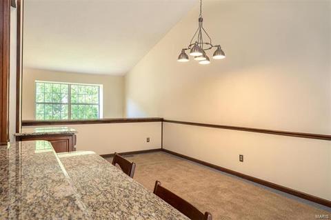 569 Woodlyn Crossing Cir, Ballwin, MO 63021 photo 19