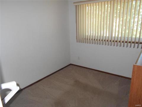 11048 Ebert, Saint Louis, MO 63136 photo 9