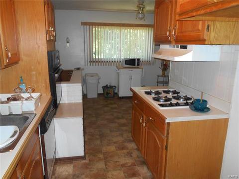 11048 Ebert, Saint Louis, MO 63136 photo 3