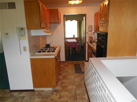 11048 Ebert, Saint Louis, MO 63136 photo 8