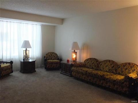 1119 Shadowoak Dr, Ballwin, MO 63021 photo 7