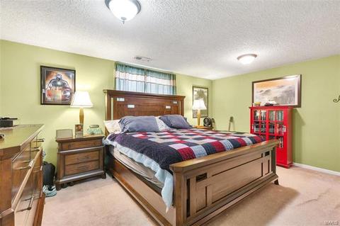 411 Fire Tree Ln, O'fallon, MO 63368 photo 17