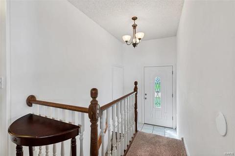 411 Fire Tree Ln, O'fallon, MO 63368 photo 3